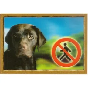 3D-PSI-Tag, Labrador Retriever (Braun)